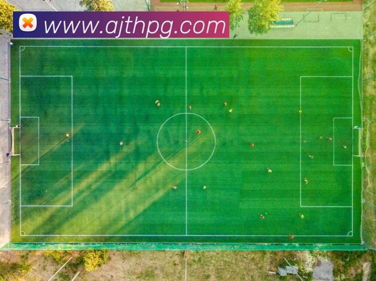 pg官网平台生态图